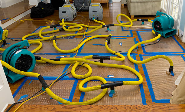Professional Water Extraction technician working in Franklin Grove, IL